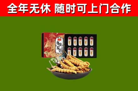 红原回收冬虫夏草价格
