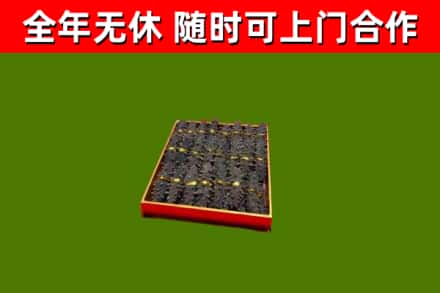 红原回收海参